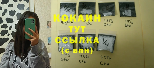 дурь Ладушкин